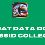 feature image of What Data does BUSSID Collect?
